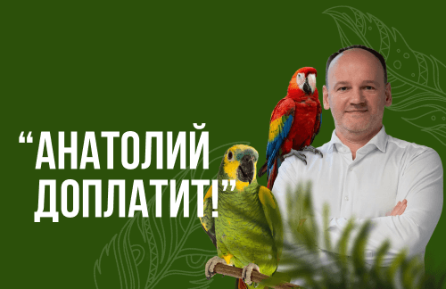 🔥"Анатолий доплатит!" Попугайня от 11р в Малиновке